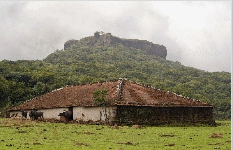 Hotel Shriyan Mahabaleswer Attraction Pictures